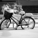 Neige à Tokyo - février 2014
