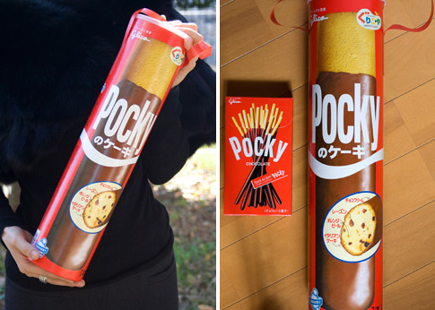 Pocky cake