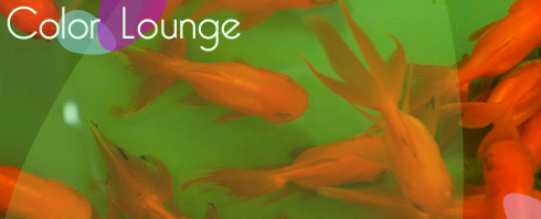 Bannière Color Lounge