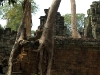 Angkor