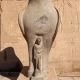 Horus