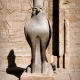 Horus