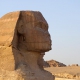 Le sphinx