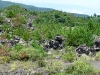 Sakurajima