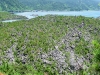 Sakurajima