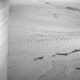 Motoi Yamamoto