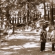 Kasuga Taisha