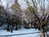 Neige à Tokyo