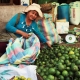 portraits du Cambodge