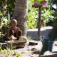 portraits du Cambodge