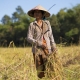 portraits du Cambodge