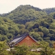 Tenryuji - Kyoto