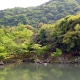 Tenryuji - Kyoto