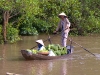 Mekong