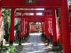 torii